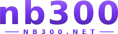 nb300 logo